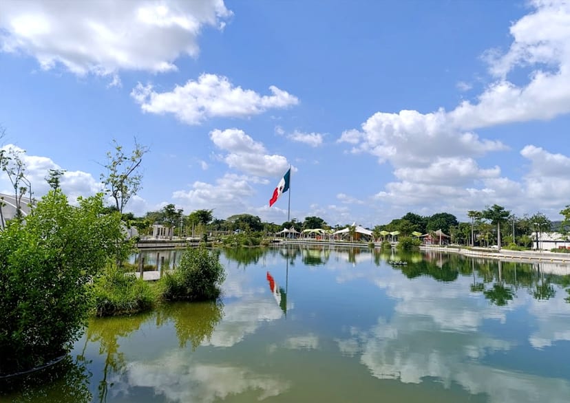 Nine lakes tested, six came back positive