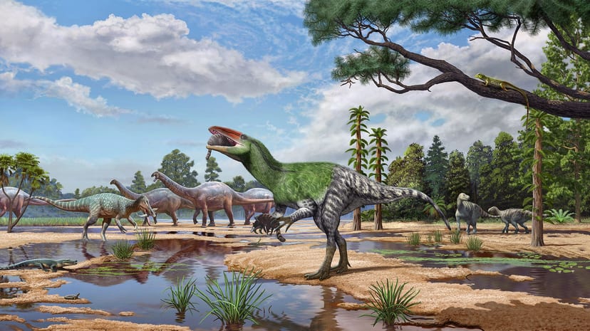 A Migration Route Solved — Then a New Mystery