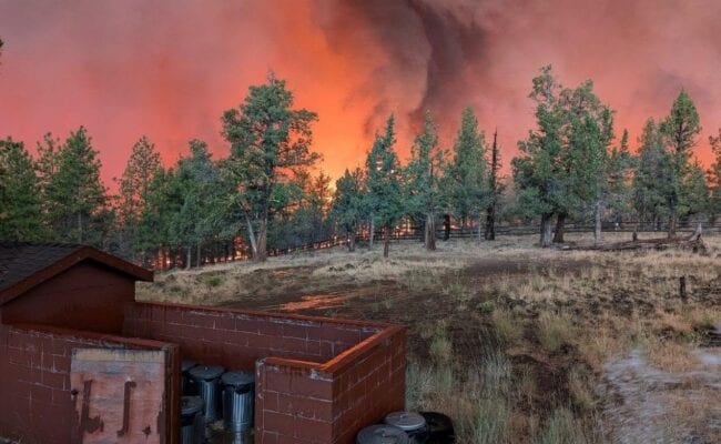 Oregon's Record 2026 Wildfire Season Burned 2.1M Acres